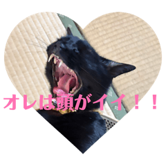 kurosuke_20260604122505