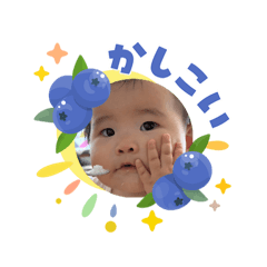 Ayakei_20260604122023