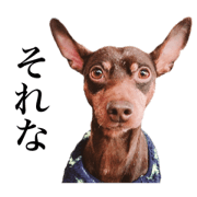 SHINTRO