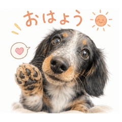 asuka_20260604154551