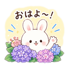 miya_20260604154914