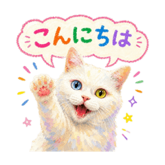 Ohtorii Animal Hospital_20260604173305