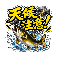 noppo_20260604180122
