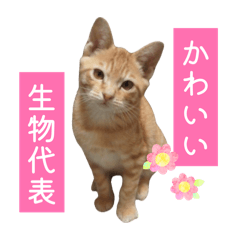 kana_20260604184356