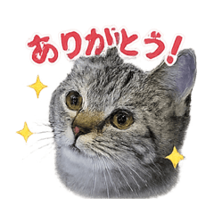 Haruyamarento_20260604191155