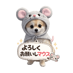 yomo_20260604212002