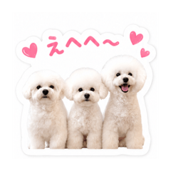 sizu_20260604213628