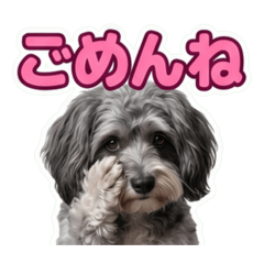 HANA_20260604215543