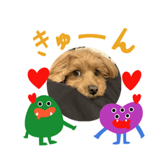 KENTARO_20260604215911