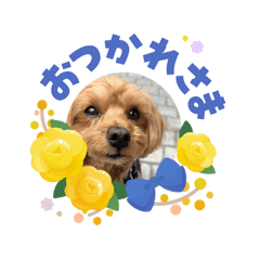 KENTARO_20260604220157