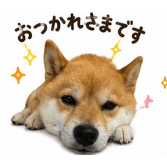 koto_20260604220525