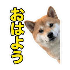 umeko_20