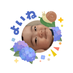 pochi_20260604225312