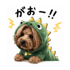 buchi_20260604234413