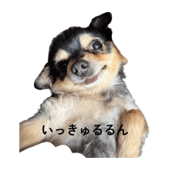 Den_20260604235204