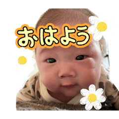 saku_20260605004135