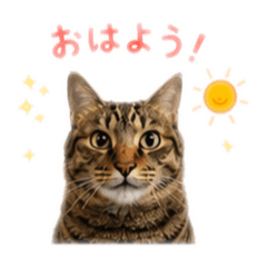 K_20260605005109