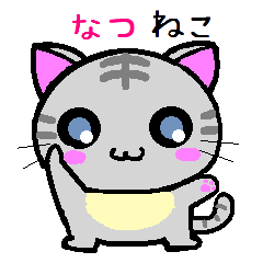 Natsu cat