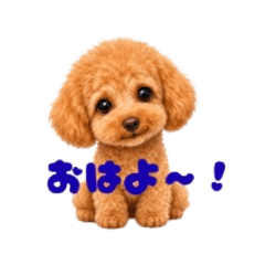 KANA_20260605045222
