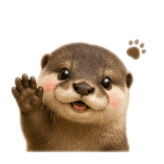 cottsu_20260605073727