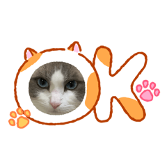 punipunikoubou_20260605075145