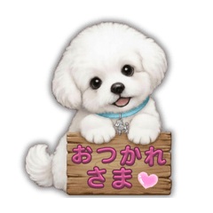miki_20260605080307