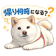 ha_20260605093408