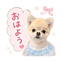 yuka_20260605092044