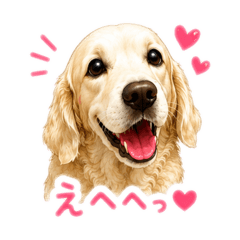 Kinako_20260605095100