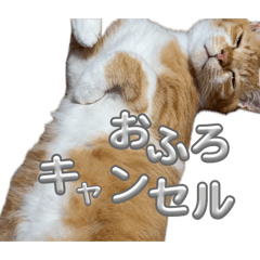 kotaro_20260605075127