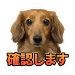 yutaro_20260605095355