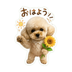 song june_20260605101843