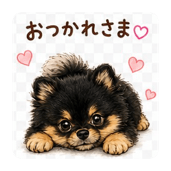 berry_20260605102344