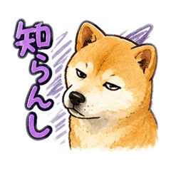 Mayu_20260605111416