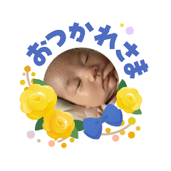 OCHIAI_20260605122233