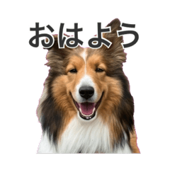 JYO_20260605122444