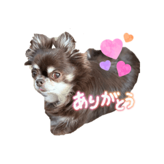 suzu_20260605124038