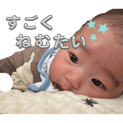 momo_20260605125725