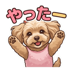 SUGURU_20260605131943