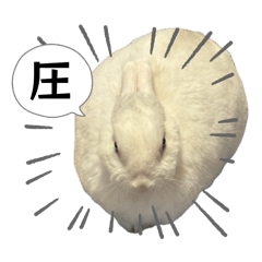 namiusagi_lab_20260605132309