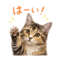 MIKIO_20260605133355
