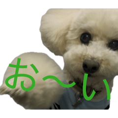 Aloha_20260605135057