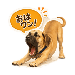 saki_20260605141928