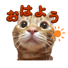 hinata_20260605142844