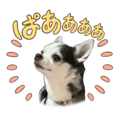 ODA_20260605160356