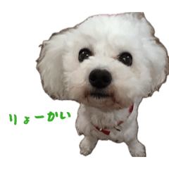 Chiharu_20260605162211