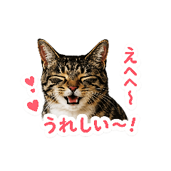 kana_20260605164613