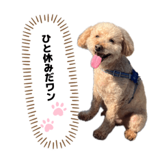 Kawakami Miyu_20260605165509