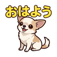 Yokko_20260605172655