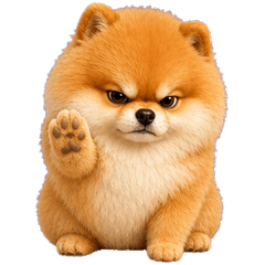 Cheeky Pomeranian